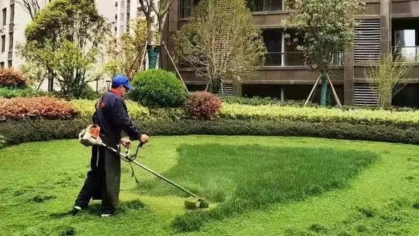 綠化養(yǎng)護17